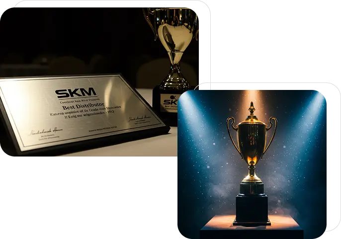 SKM milestone 2008